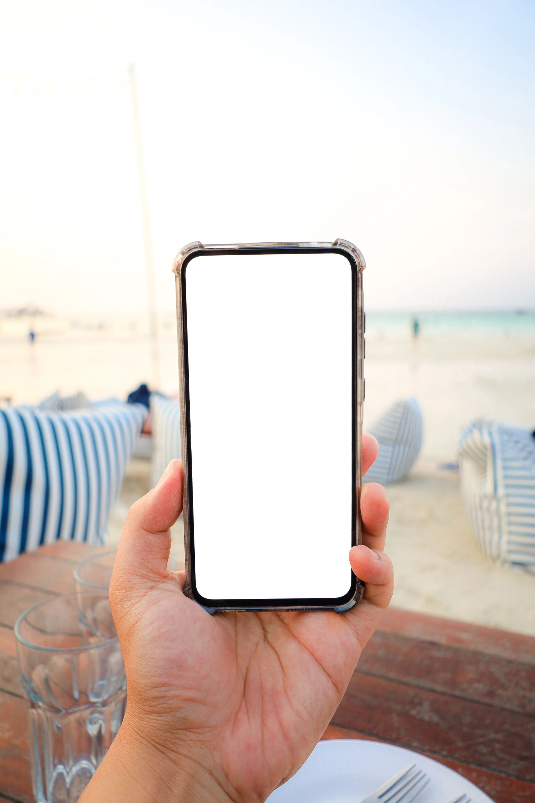 Phone mockup placeholder for private records app